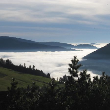 Schöne Aussicht Todtnau Exterior foto