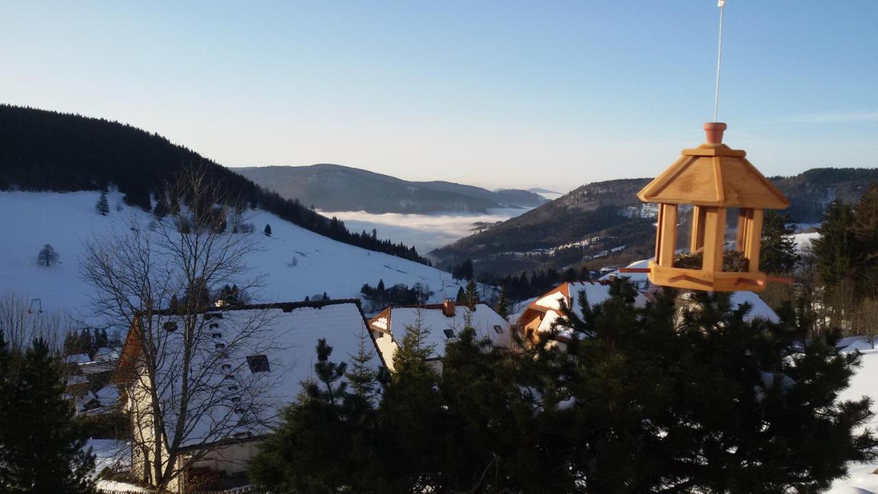 Schöne Aussicht Todtnau Exterior foto