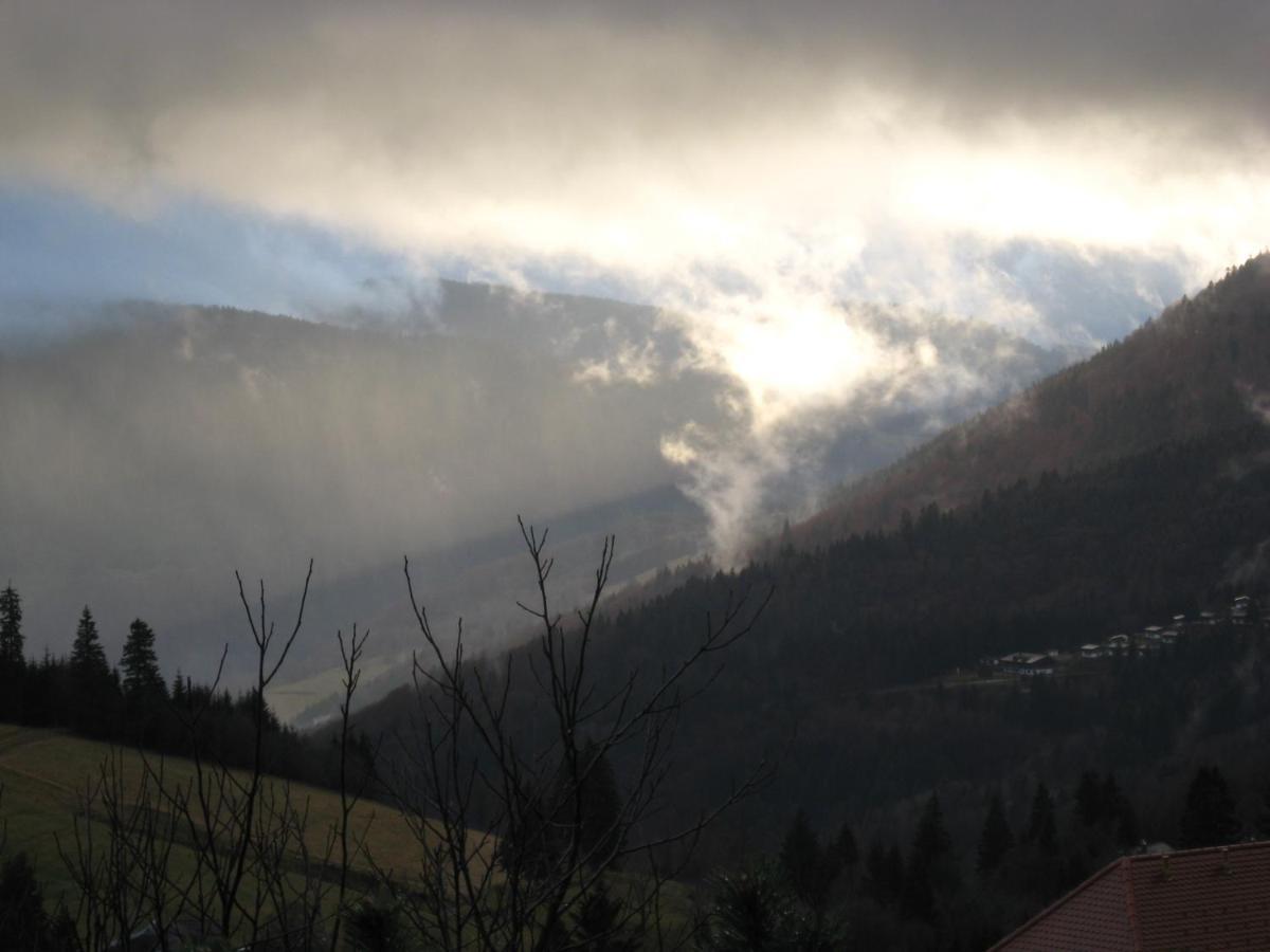 Schöne Aussicht Todtnau Exterior foto