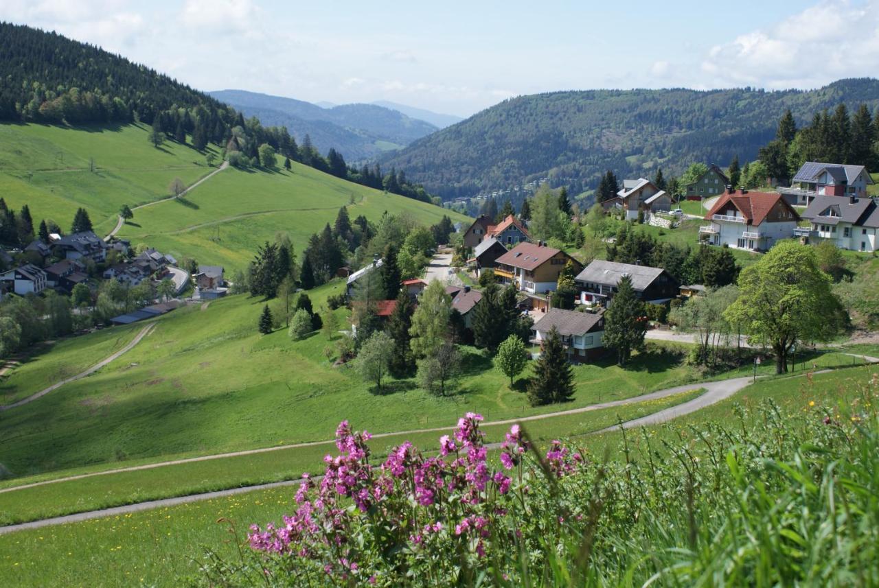 Schöne Aussicht Todtnau Exterior foto