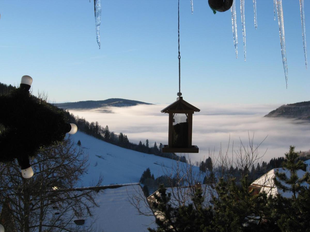 Schöne Aussicht Todtnau Exterior foto